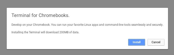 Google-Chrome-Linux-2